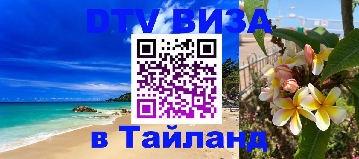 Сколько стоит DTV виза — актуальные цены, оформление даже без документов - 10.12.2025 